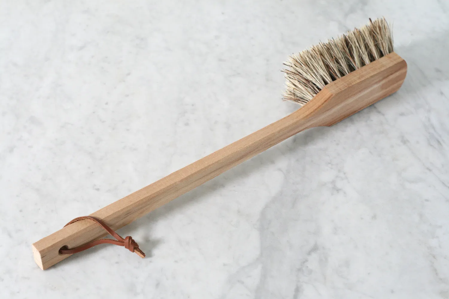 Long Handled Outdoor Brush